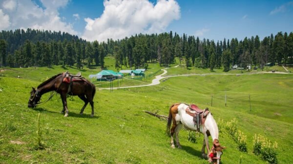 Mountaineering Tour  Packages - Image 6