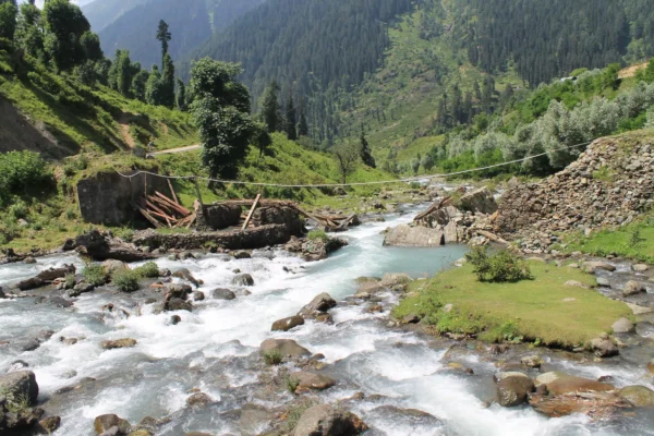 Kashmir Couple Tour Packages - Image 9