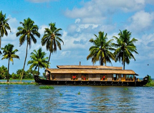 Kerala Tour Packages From Cochin - Image 5