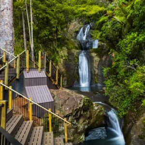 Coimbatore / Ooty / Kodaikanal Trip Packages