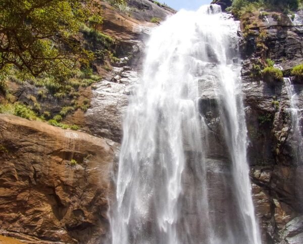 SOUTH INDIA TOUR PACKAGES - Image 6