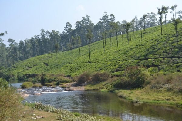 3 Days Valparai Tour Packages - Image 4