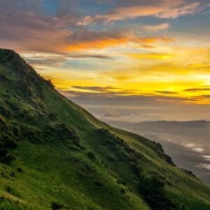 Holiday Trip Packages
