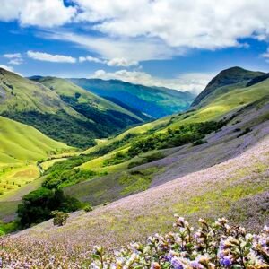Summer Trip 6 days kerala Trip