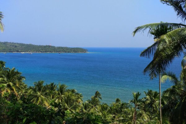 7 Nights/8 Days Andaman Tour Packages - Image 12