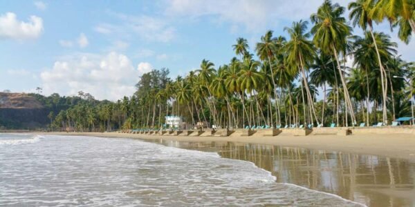 7 Nights/8 Days Andaman Tour Packages - Image 13