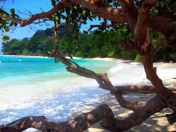 7 Nights/8 Days Andaman Tour Packages - Image 6