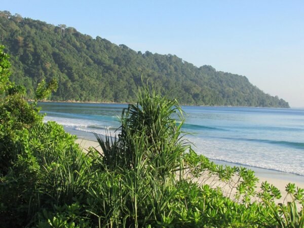 7 Nights/8 Days Andaman Tour Packages - Image 5