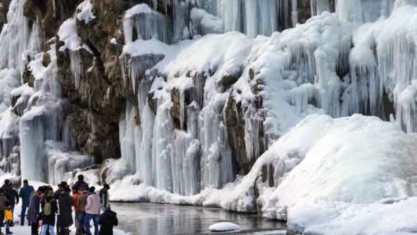 Kashmir Couple Tour Packages - Image 8