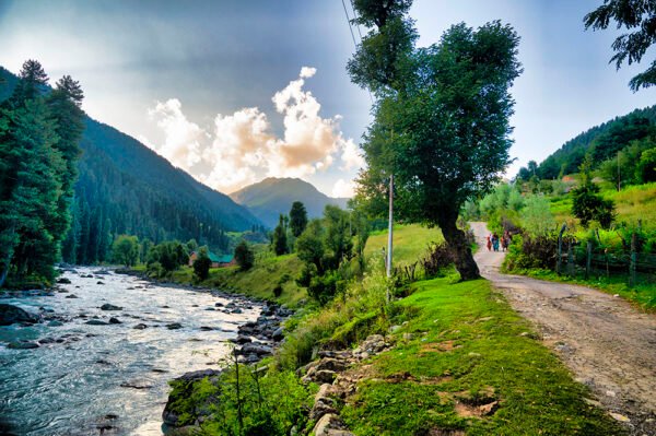 4 Days Kashmir Tour Packages - Image 3