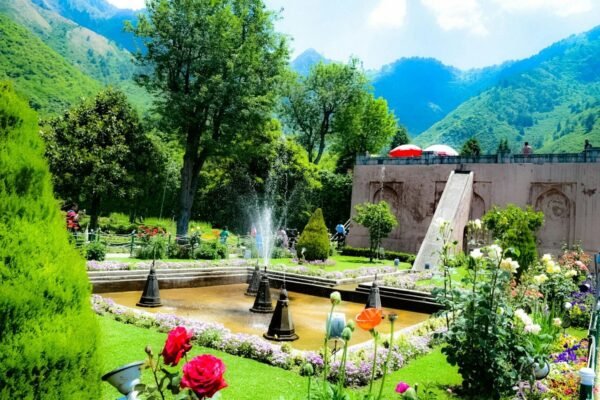 4 Days Kashmir Tour Packages - Image 7