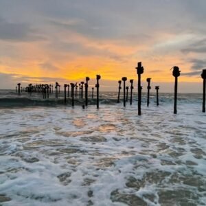 Kumarakom /  Kottayam Tour Packages