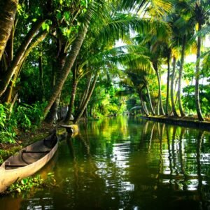 Kerala Honeymoon Trip Packages