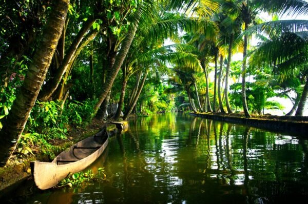 Kottayam - Kumarakom Tour Packages - Image 6