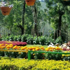Kerala Adventure Trip Packages