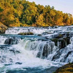 Mysore / Ooty / Kodaikanal Trip Packages