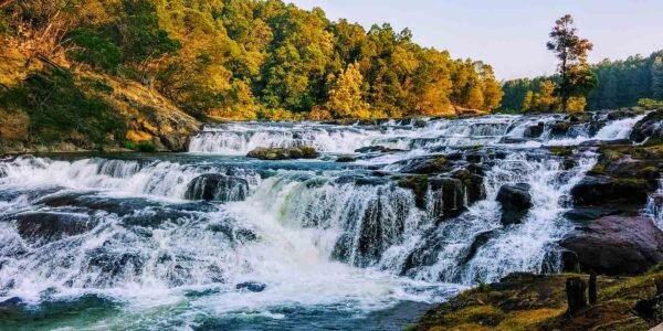 7 Days Karnataka / Kerala Tour Packages - Image 7
