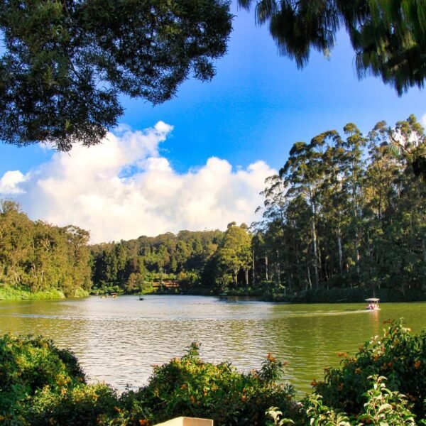 Ooty Trip Packages From Coimbatore - Image 7