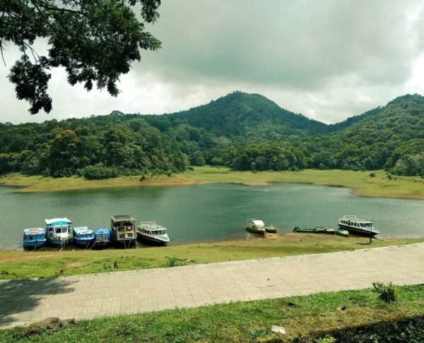 Best of Kerala Tour Packages - Image 7