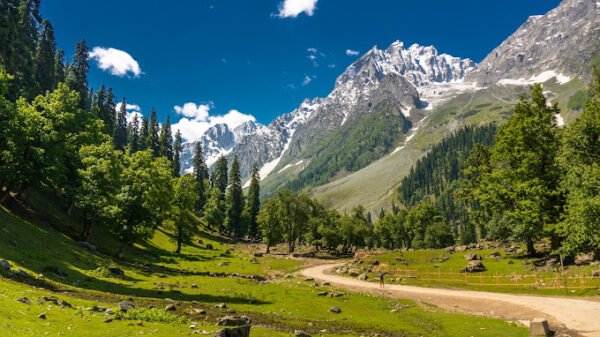 12Days North India Sightseeing Places - Image 7