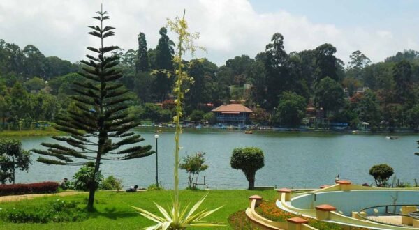 Hogenakkal-Yercaud Tour Packages - Image 3