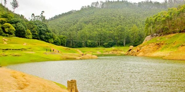 Idukki / Pothamedu View Point Tour packages - Image 2