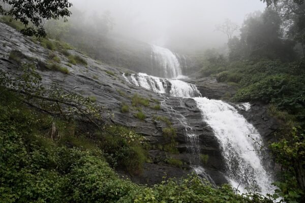 Best of Kerala Trip - Image 4