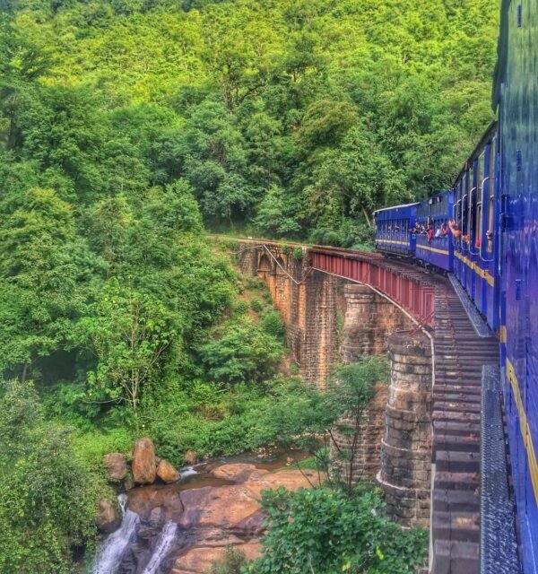 Ooty Trip Packages From Coimbatore - Image 2