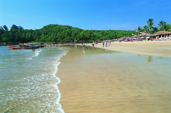 Honeymoon Tour Package From Goa - Image 2