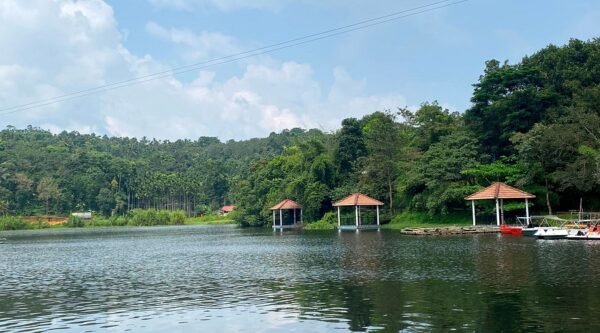 Alleppey - Calicut -Waynad Tour Packages - Image 2