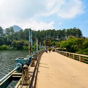 Kerala 4 Days / 3 Nights Tour Package