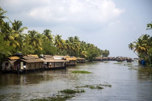 Family Group Tour Packages - Image 5