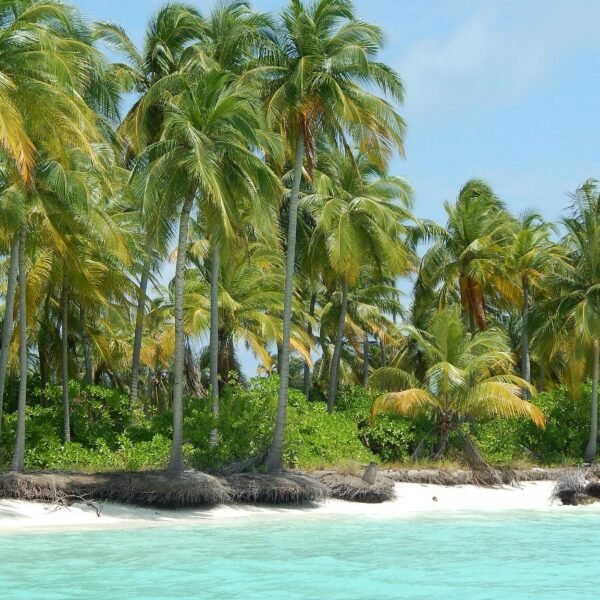 Beach & Island Tour Packages - Image 4