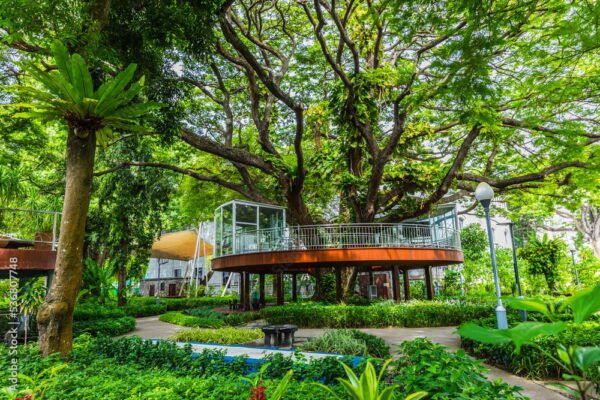 Blissful Maldives Tour Packages - Image 2