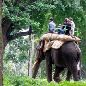 Kerala Honeymoon Trip Packages