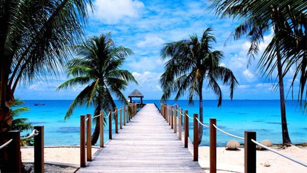 Pondicherry Tour Packages From Bangalore - Image 3
