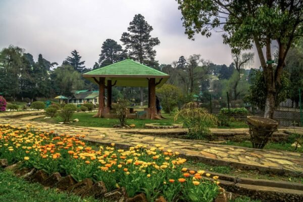 Shillong / Cherrapunji Tour Packages - Image 8