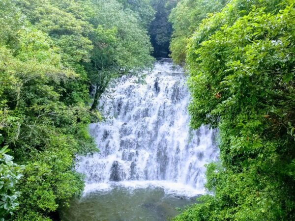 Shillong / Cherrapunji Tour Packages - Image 4