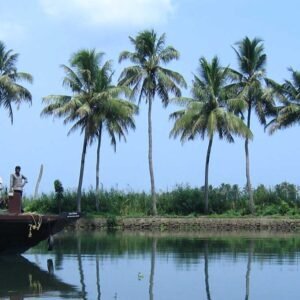 Kottayam - Kumarakom Tour Packages