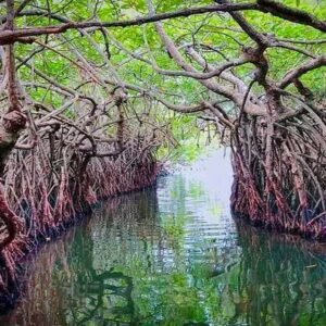 Explore Srilanka Tour Packages