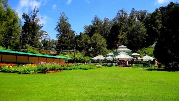 Ooty / Bangalore Tour Packages - Image 4