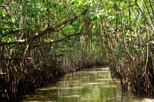 Trichy Sightseeing Places - Image 3