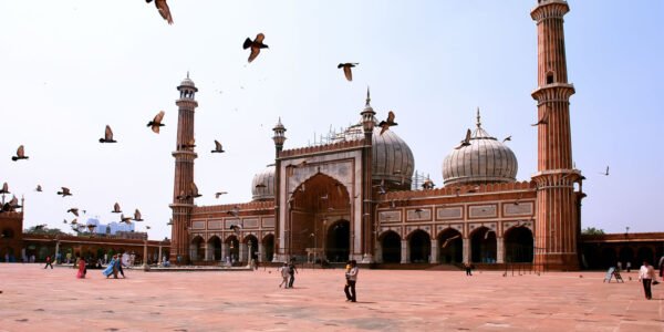 6Days Golden Triangle Tour Packages - Image 4