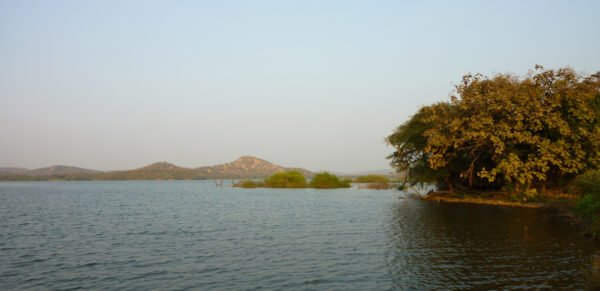 Wildlife in Gujarat Packages - Image 4