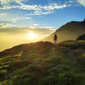 Explore Kerala Sightseeing Places