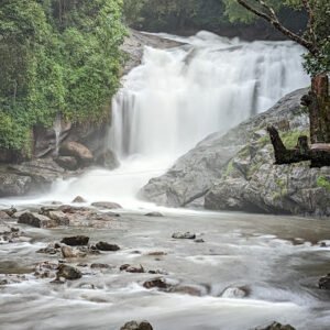 South India Tour Packages From Cochin