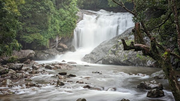 11 Days Kerala Tourism - Image 4