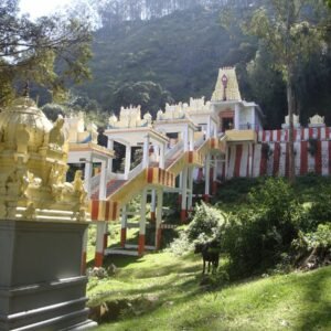 3 Days Ooty Group Tour Packages