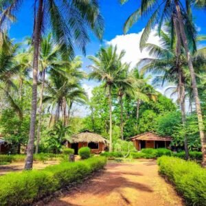 Amazing Goa Tour Package From Mumbai