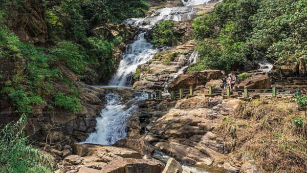 9 Days Full Sri Lanka Tour Packages - Image 2